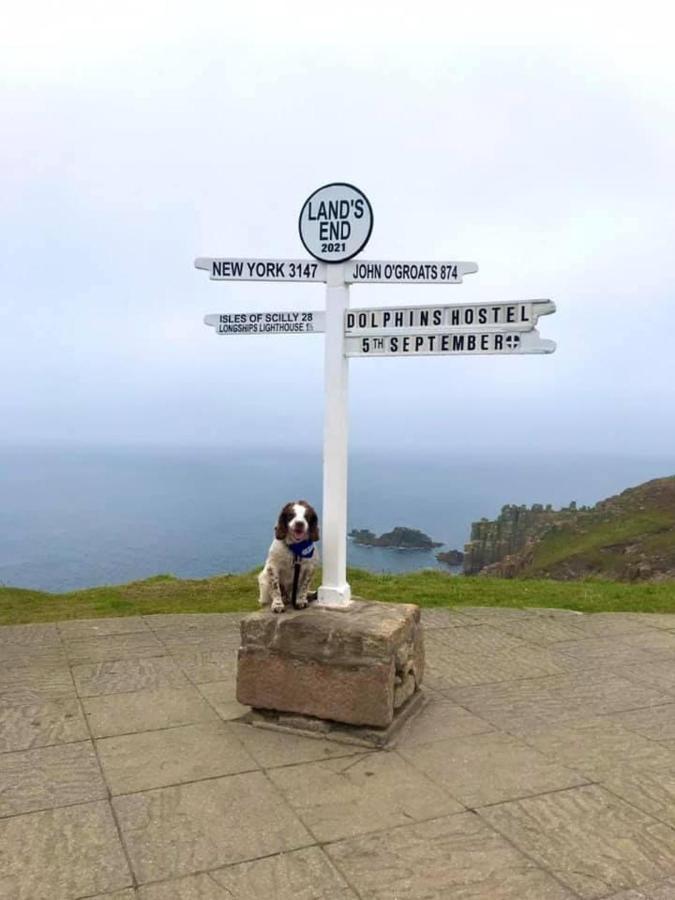 A Pousada Dolphins Backpackers Tintagel Exterior foto